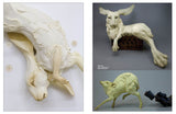 Hi-Fructose Collected 4 Box Set