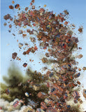 Hi-Fructose Volume 75-Pre Order